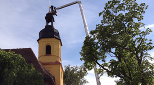 Kranwagen & Arbeitsbühnen